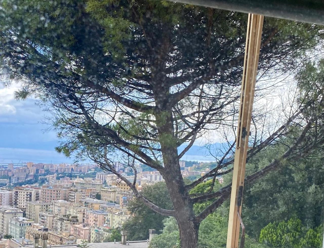 Genoa View & Hiking In Italian Riviera Apartment Екстериор снимка