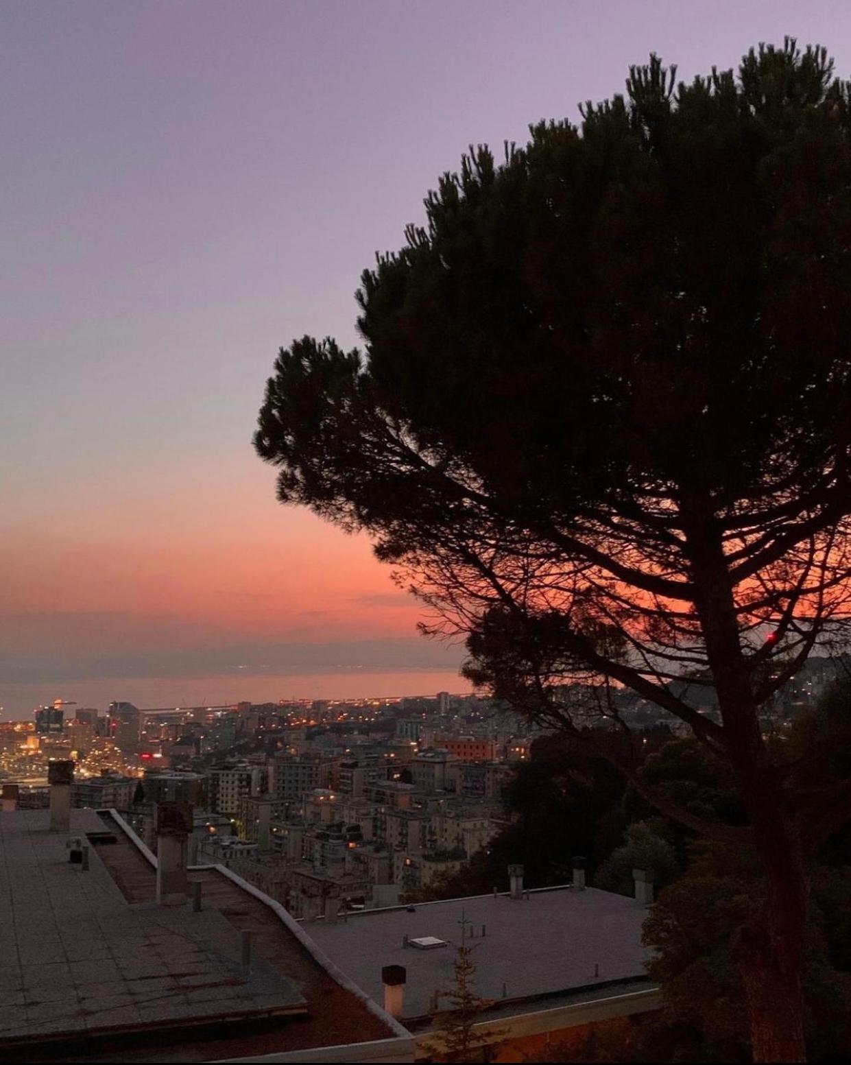Genoa View & Hiking In Italian Riviera Apartment Екстериор снимка