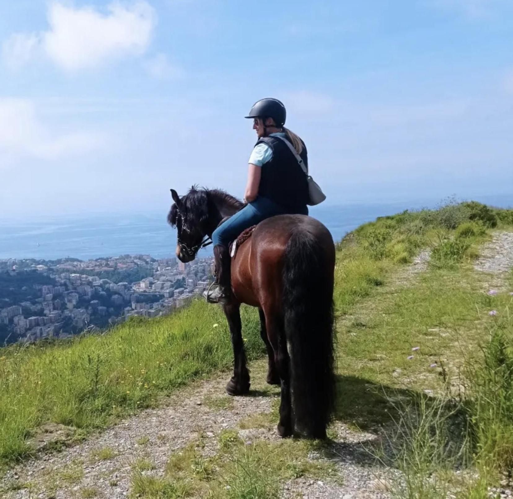 Genoa View & Hiking In Italian Riviera Apartment Екстериор снимка